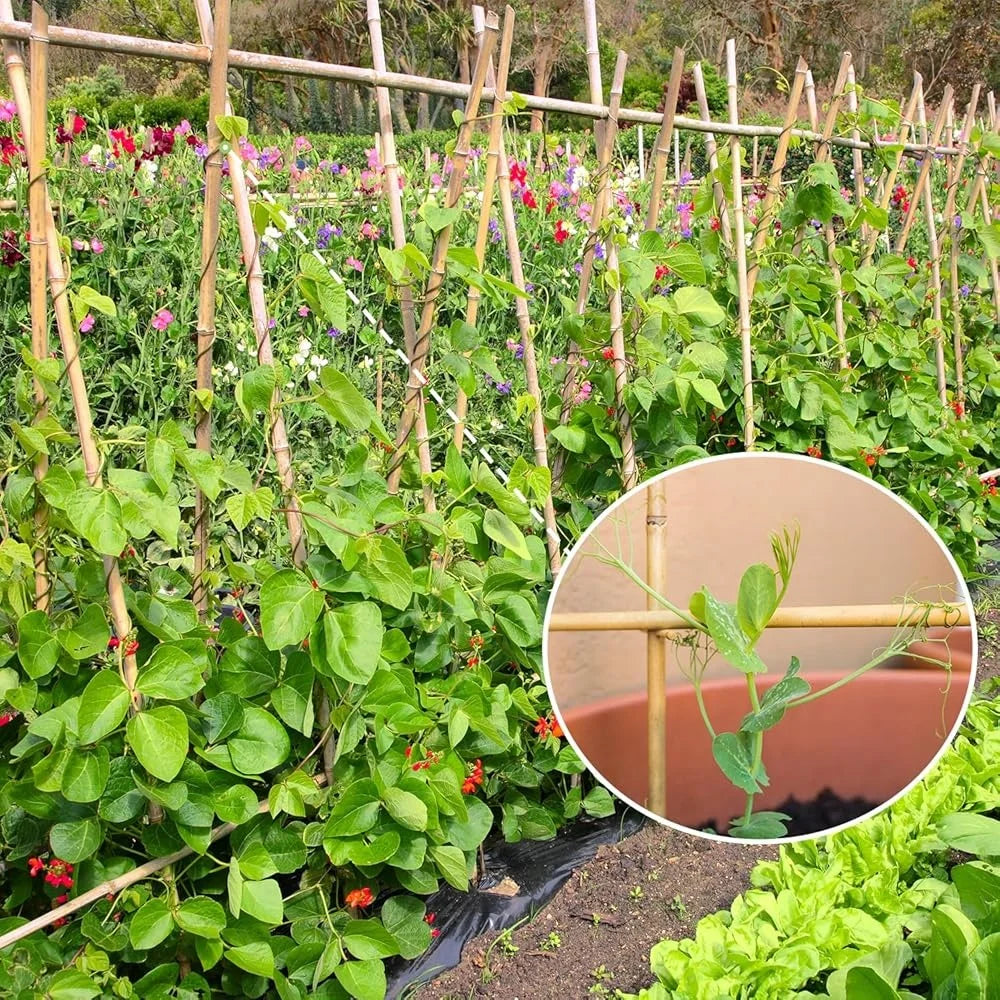 4ft Bamboo Plant Stakes 25 Garden Support Poles Tomatoes