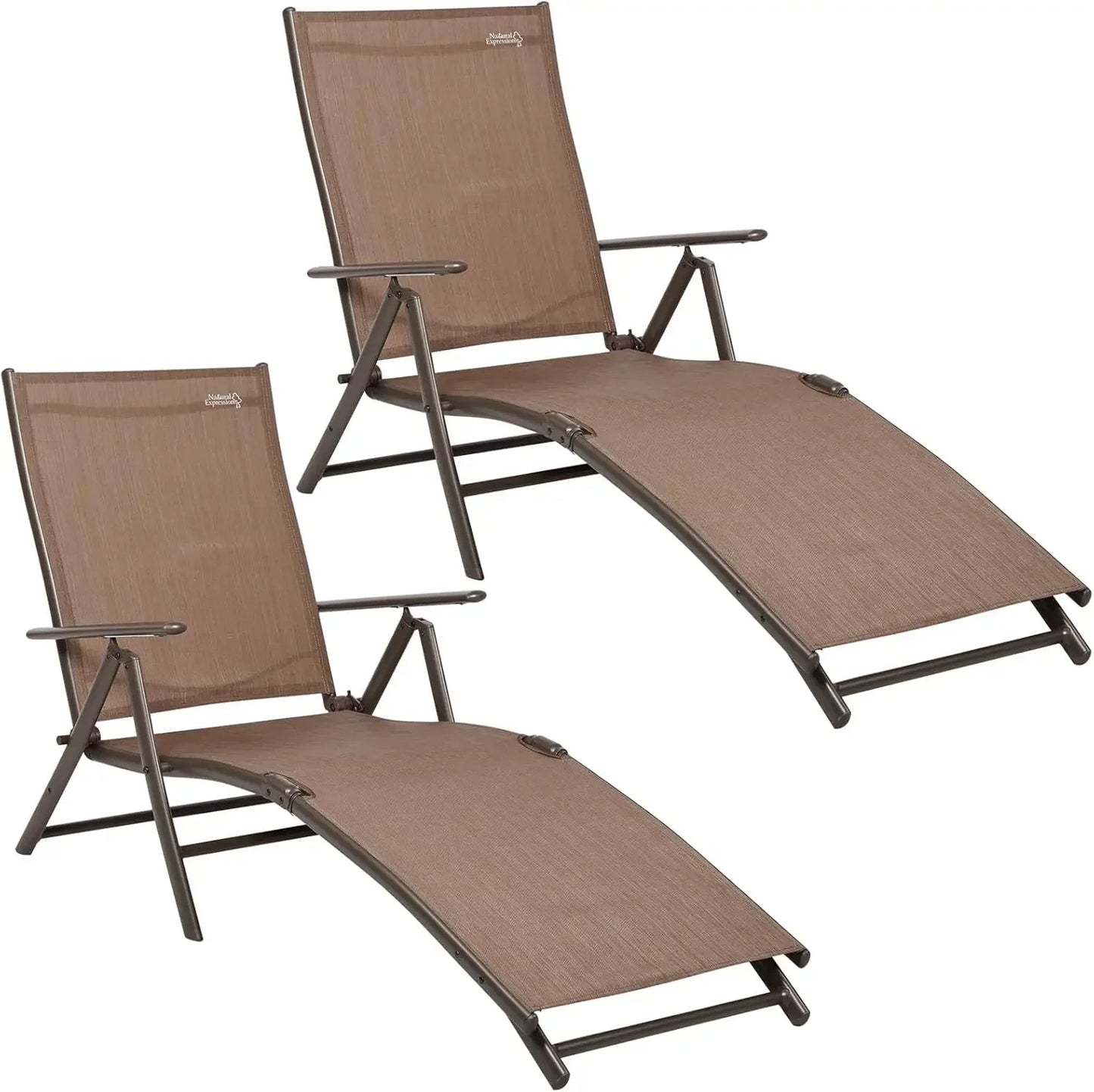 Outdoor Chaise Lounge Chairs Set Of 2 Aluminum Pool Loungers