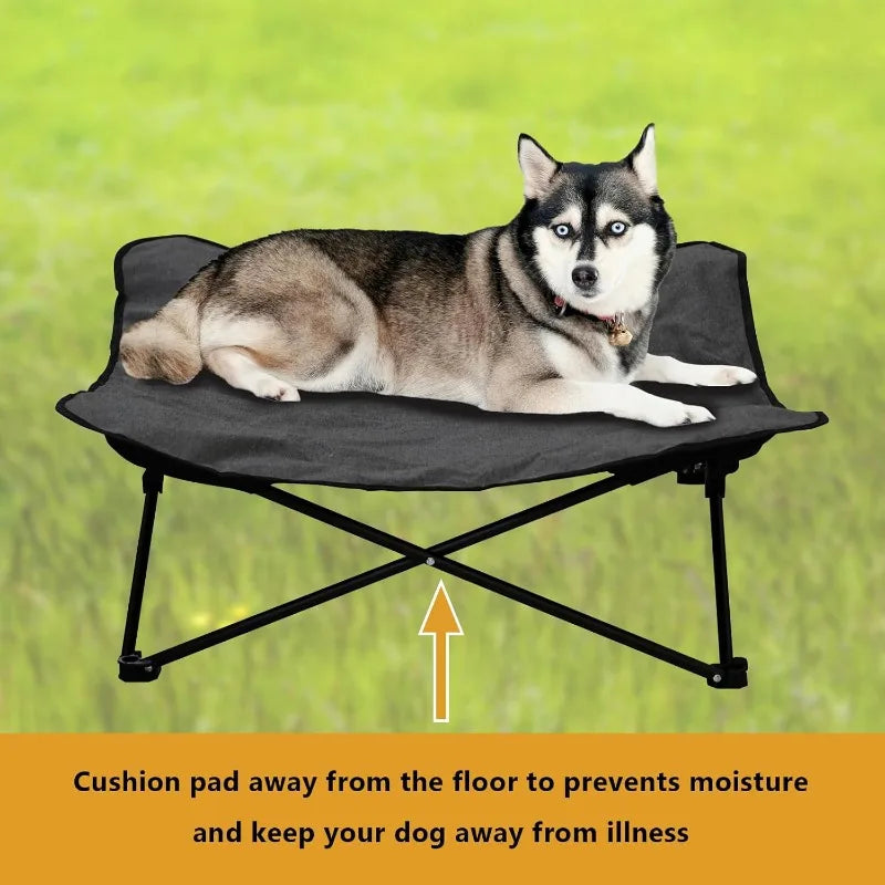 Jiangsu Hign Elevated Dog Bed Portable Raised Pet Cot